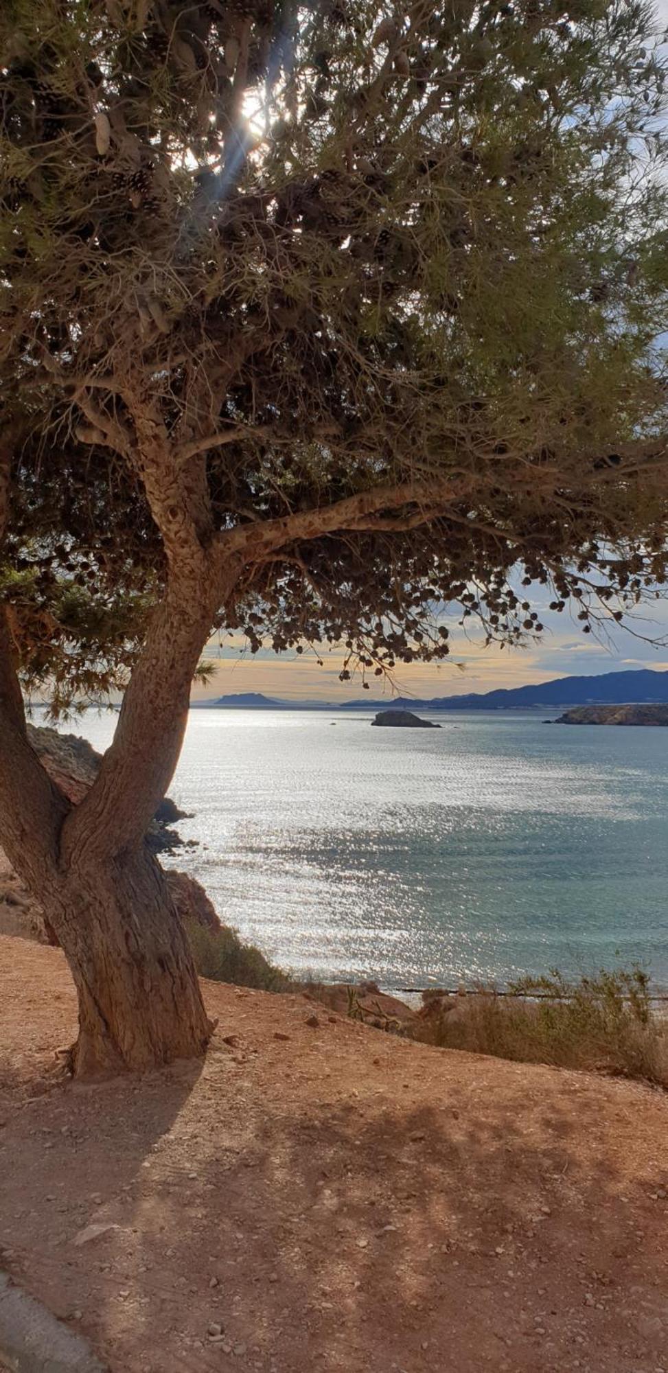 Acogedor Apartamento De Playa El Puerto de Mazarrón Buitenkant foto